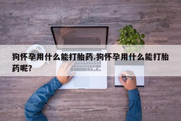 打胎药私人店付一半发货狗怀孕用什么能打胎药.狗怀孕用什么能打胎药呢？