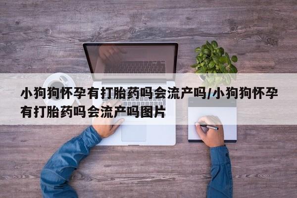 打胎药私人店付一半发货小狗狗怀孕有打胎药吗会流产吗/小狗狗怀孕有打胎药吗会流产吗图片