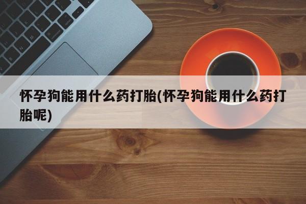 打胎药私人店付一半发货怀孕狗能用什么药打胎(怀孕狗能用什么药打胎呢)